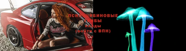 ГАЛЛЮЦИНОГЕННЫЕ ГРИБЫ Бронницы